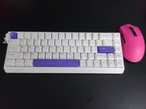 FURYCUBE [M68HE] Mechanical Keyboard 68key Esports Gaming Wired Keyboard